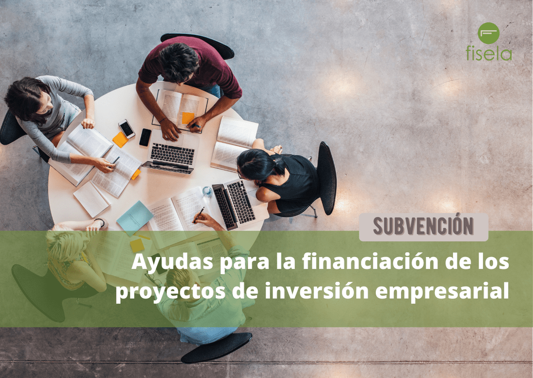 Ayudas para la financiación de los proyectos de inversión empresarial ...